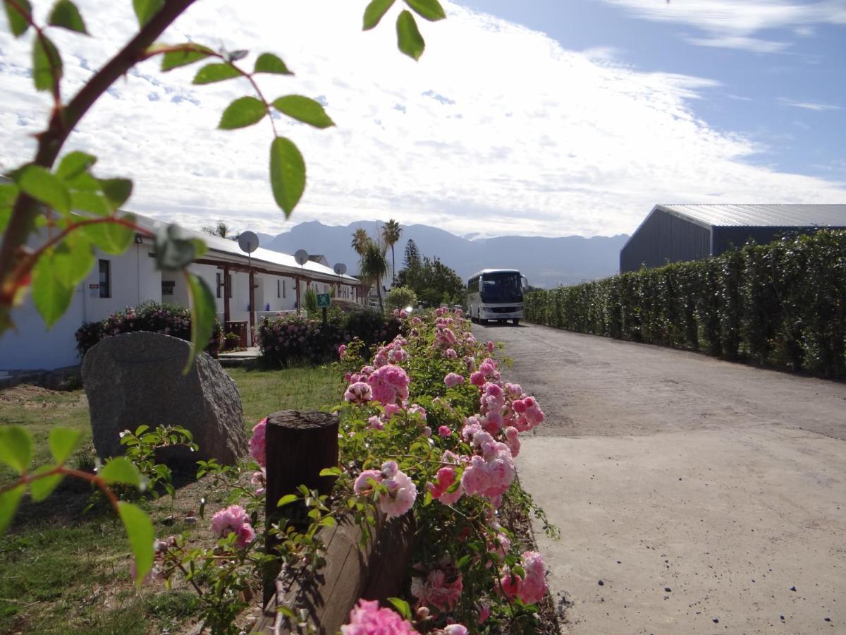 Middelplaas Paarl Guesthouse Exterior foto