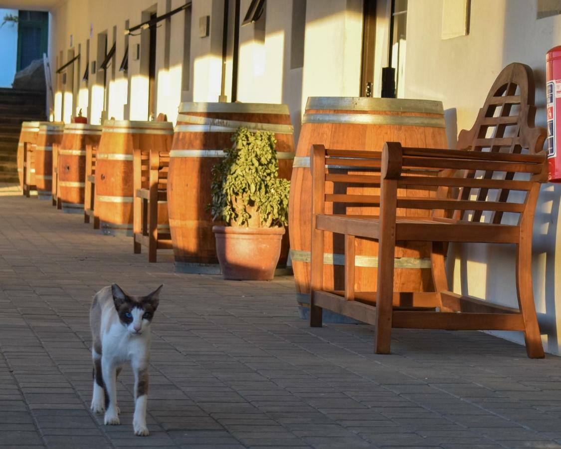 Middelplaas Paarl Guesthouse Exterior foto